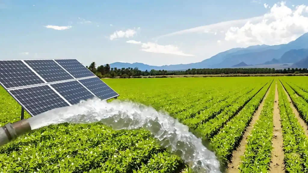 free-solar-pump-installation-for-indian-farmers-under-this-scheme

क्या पीएम सूर्यघर योजना के तहत सोलर पंप लगाए जा सकते हैं? पूरी जानकारी लें