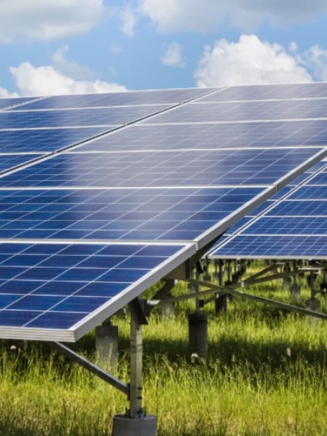 haryana-discom-to-setup-5-mw-solar-power-projects