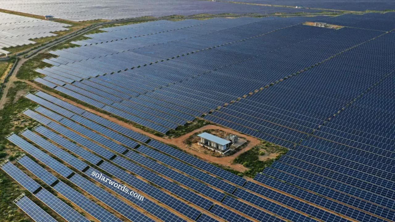 indias-solar-energy-accounts-for-55%-share-in-renewable-energy-sector