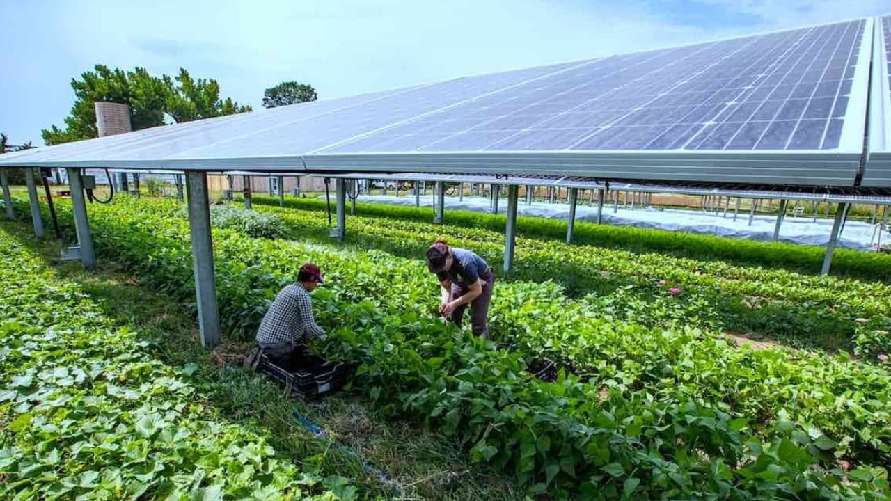 best-solar-equipments-used-in-farming