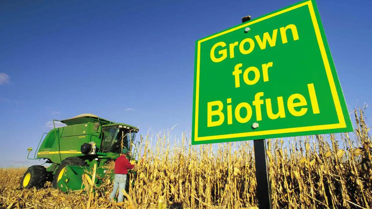 bio-fuel-dealing-company-stock-surged-after-new-acquisition